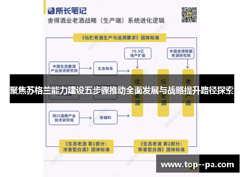 聚焦苏格兰能力建设五步骤推动全面发展与战略提升路径探索