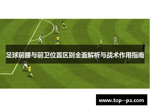 足球前腰与前卫位置区别全面解析与战术作用指南