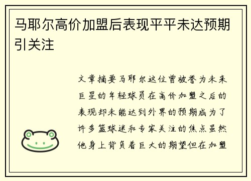 马耶尔高价加盟后表现平平未达预期引关注